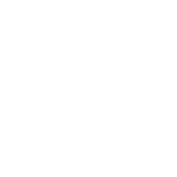Network Icon