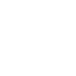 Network Icon